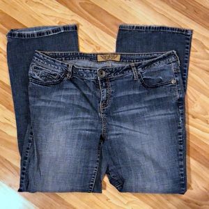 HINT Flare Jeans size 18W
